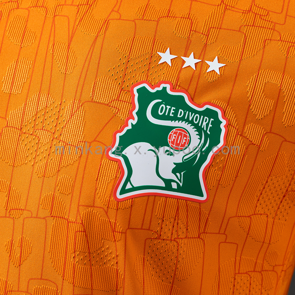 Ivory Coast 2025 Home Player Version Jersey S-3XL - Image 5