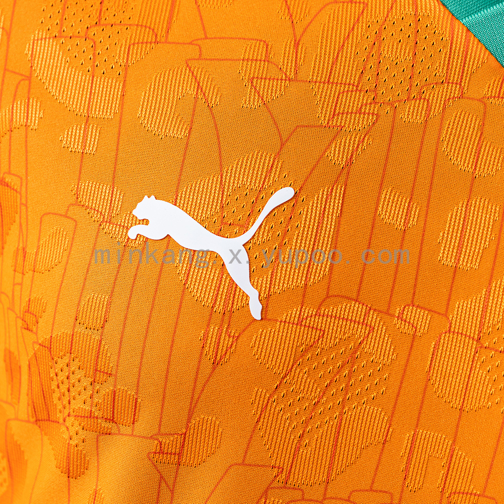 Ivory Coast 2025 Home Player Version Jersey S-3XL - Image 4