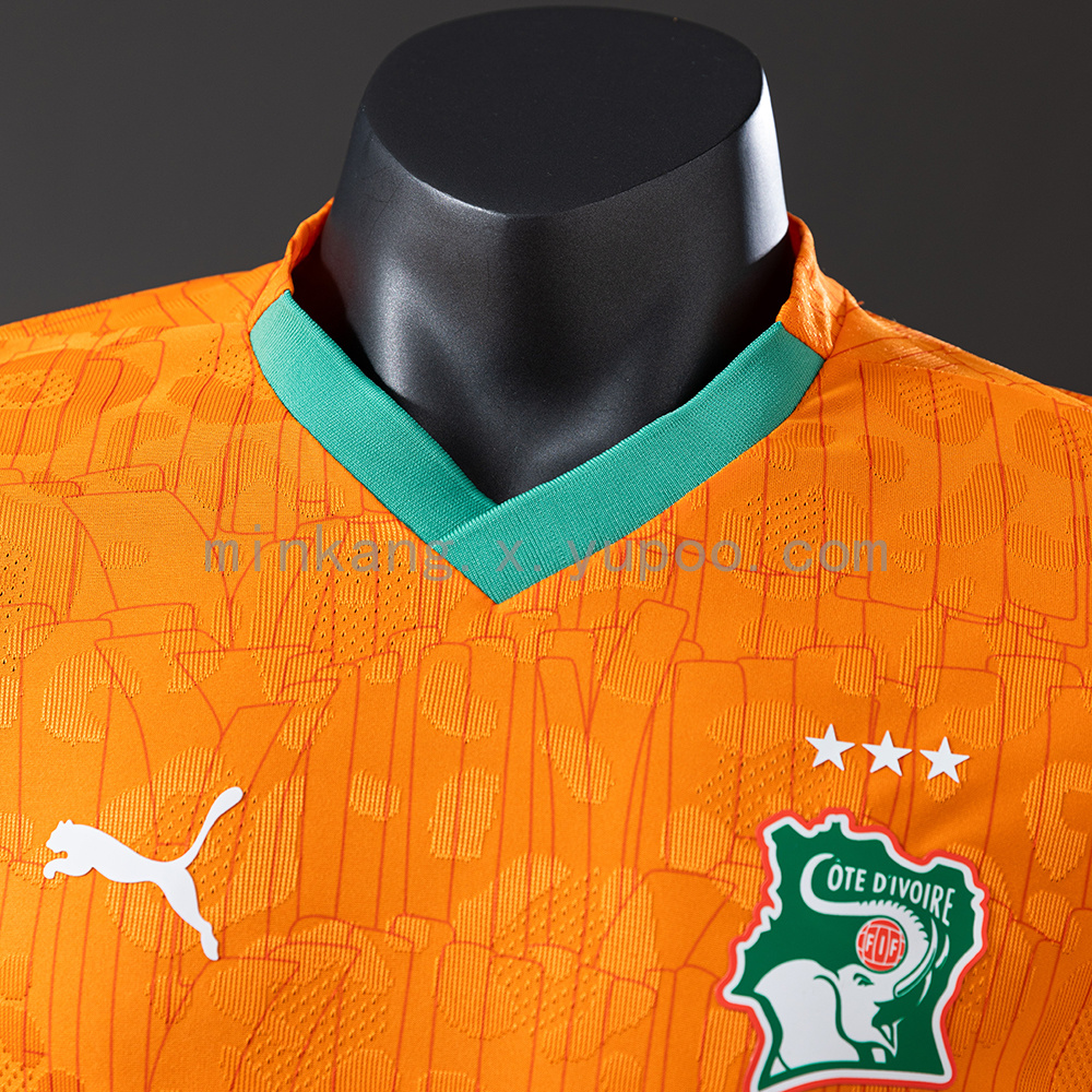Ivory Coast 2025 Home Player Version Jersey S-3XL - Image 6