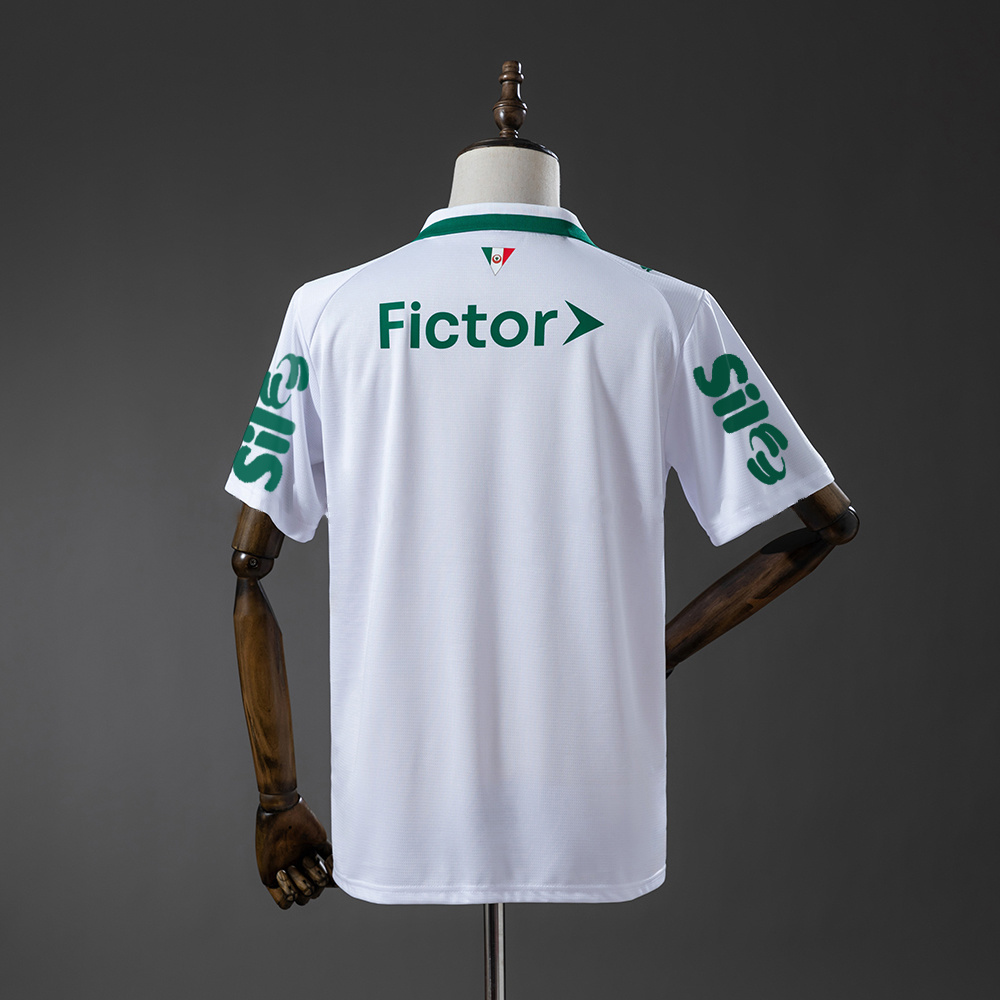 Palmeiras 26/27 All sponsors Away Jersey S-4XL - Image 2