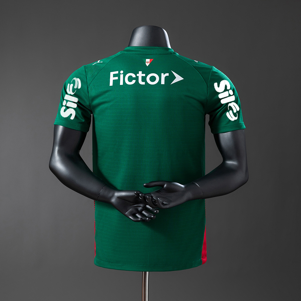 Palmeiras 26/27 Home All sponsors Player Version Jersey S-3XL - Image 2