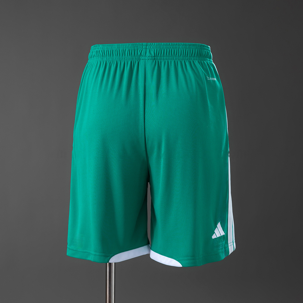 Northern Ireland 2026 Home Shorts S-XXL - Image 2