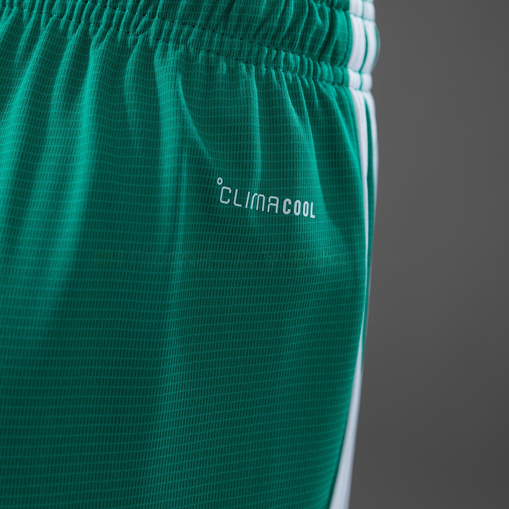 Northern Ireland 2026 Home Shorts S-XXL - Image 4